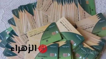 قرار رسمي.. حذف 4 فئات من بطاقات التموين اعرف القائمة الجديدة 1